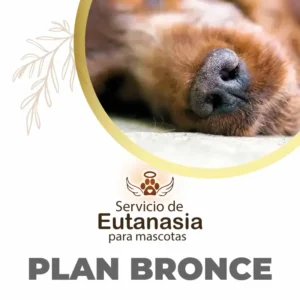 Plan Bronce Eutanasia Mascotas Quito