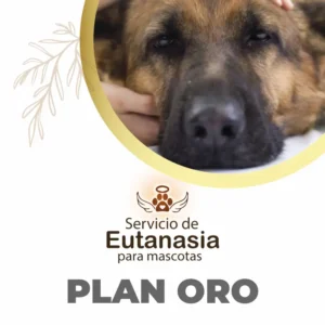Plan Oro Eutanasia Mascotas Quito