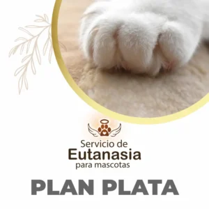 Plan Plata Eutanasia Mascotas Quito
