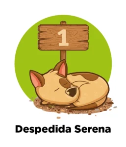 Paso 1 Cremación Biotransformación