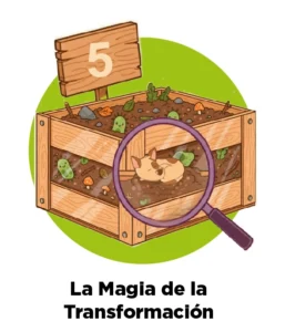 Paso 5 Cremación Biotransformación