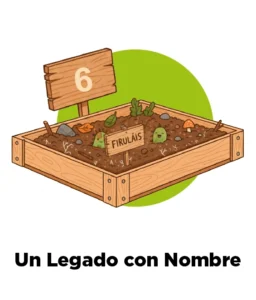 Paso 6 Cremación Biotransformación