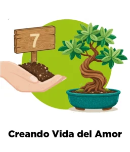 Paso 7 Cremación Biotransformación