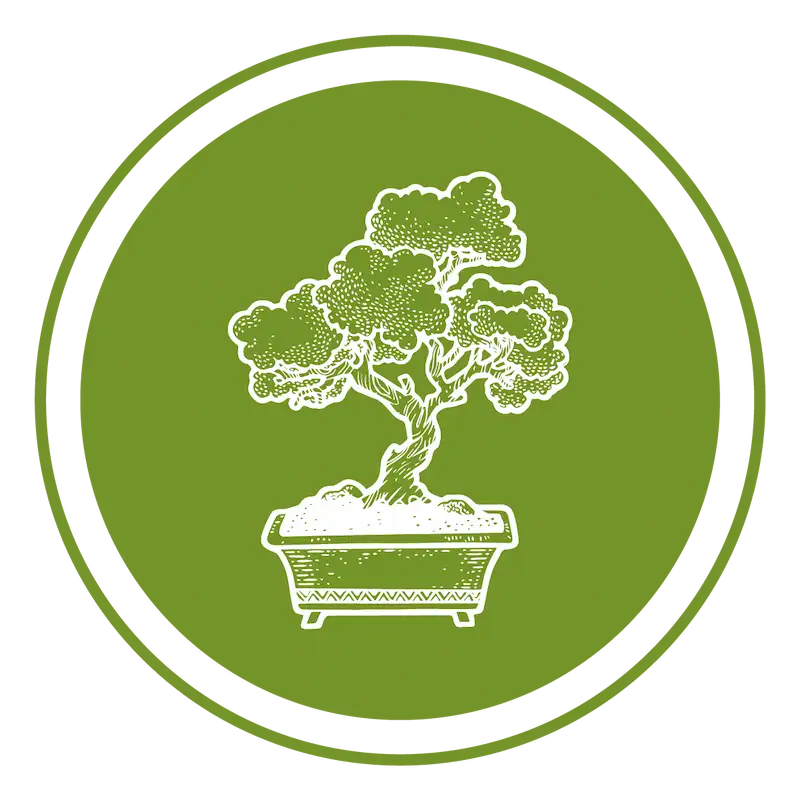 Crematorio de Mascotas Biotransformación Quito Mascotas