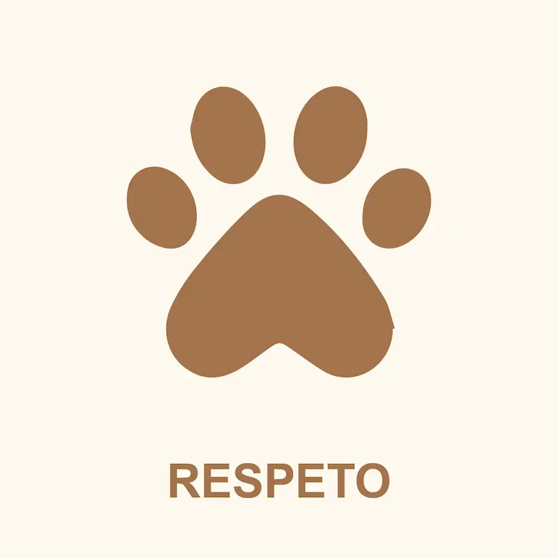 Crematorio San Francisco Crematorio de Mascotas Quito Cremación Mascotas