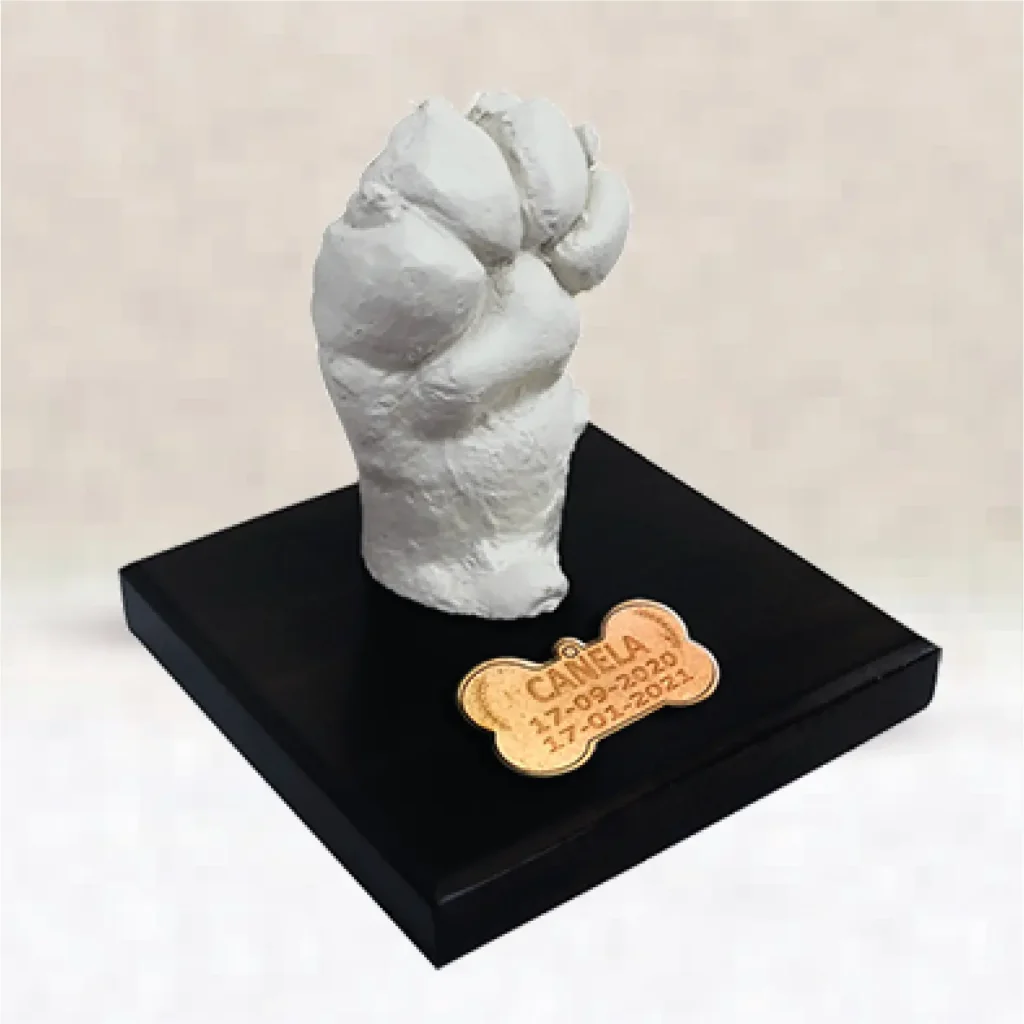 Patita en Yeso Crematorio de Mascotas