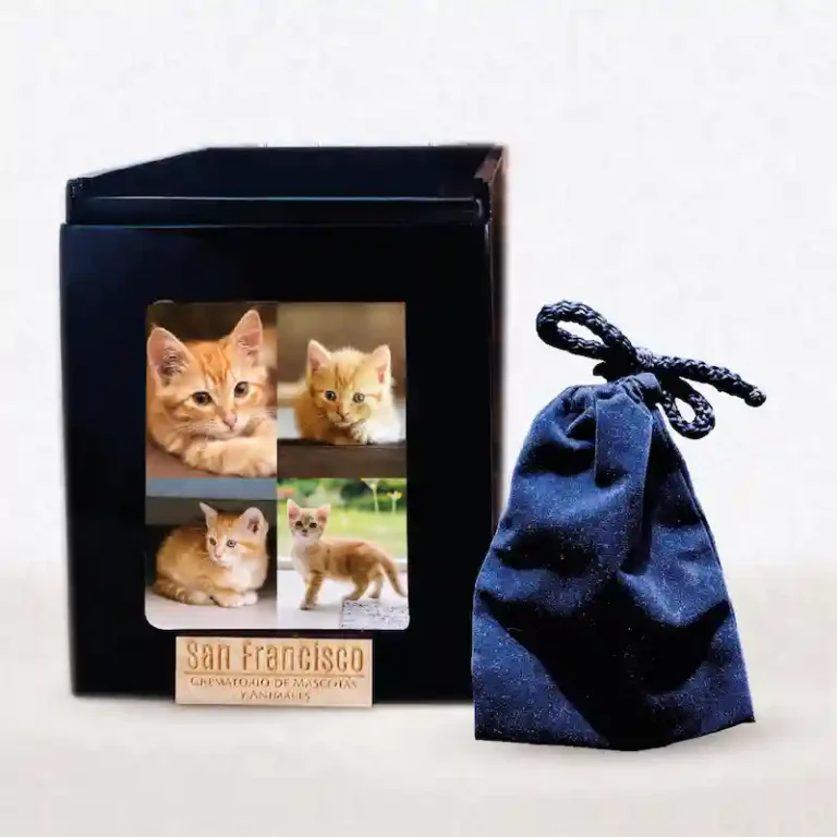 Urna Básica Mascotas Crematorio Quito Cremación Mascotas