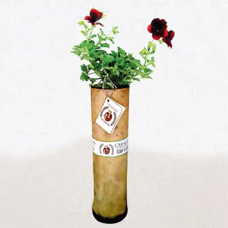 Urna Bio Urnas para Mascotas Quito Crematorio de Mascotas