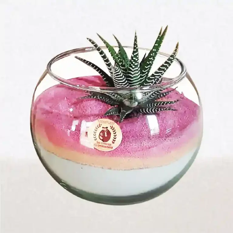 Urna Cristal Crematorio de Mascotas Quito Cremación Cenizas