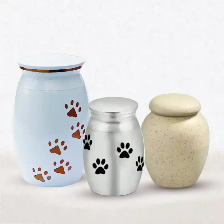 Urna Exóticos Crematorio de Mascotas Quito Cremación