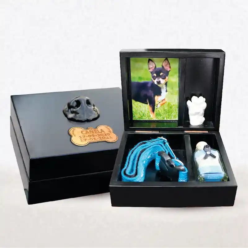 Urna Recuerdos Mascota Cremación Crematorio de Mascotas Quito