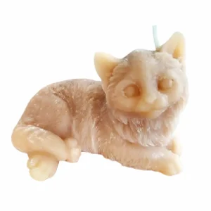 Vela Mascota gato felino Quito vela