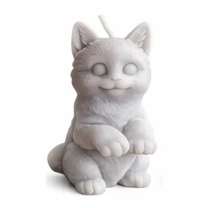 Vela Mascota gato felino Quito vela