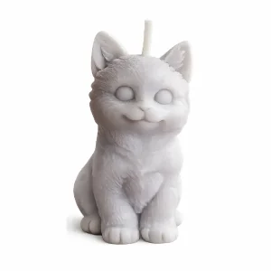 Vela Mascota gato felino Quito vela