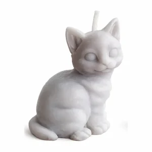 Vela Mascota gato felino Quito vela
