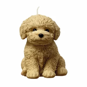 Vela Mascota French Poodle perro Quito vela