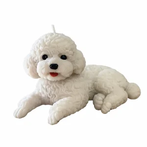 Vela Mascota French Poodle perro Quito vela