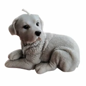 Vela Mascota Labrador perro Quito vela